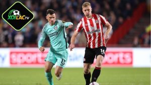 Nhận định bóng đá Brighton vs Brentford, 22h00, ngày 22/11, ngang nhau